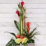Arrangement floral - Guzmania, ginger, roses, orchidées