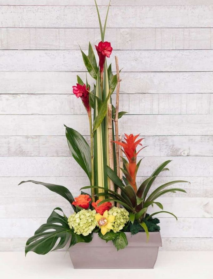 Arrangement floral - Guzmania, ginger, roses, orchidées