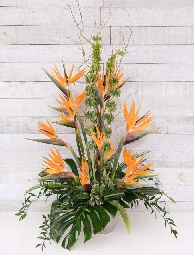Arrangement floral avec des oiseaux de paradis