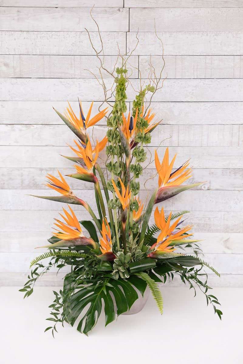 Arrangement floral avec des oiseaux de paradis