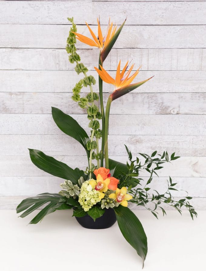 Arrangement funéraire · Le Grand Saut