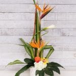 Arrangement floral dans un pot blanc - Oiseaux de paradis, fleurs et feuillage