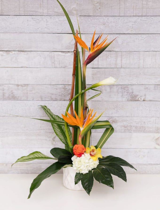 Arrangement floral dans un pot blanc - Oiseaux de paradis, fleurs et feuillage