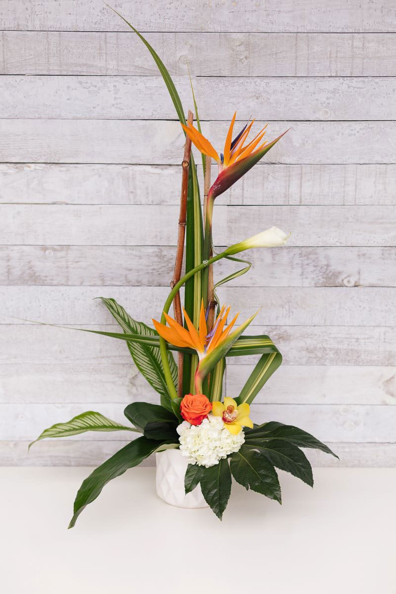 Arrangement floral dans un pot blanc - Oiseaux de paradis, fleurs et feuillage