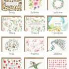 cartes souhait illustrees