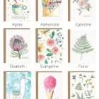 cartes souhait vierges illustrees
