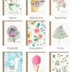 cartes souhait vierges illustrees