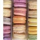 macarons locaux frais macarons locaux frais