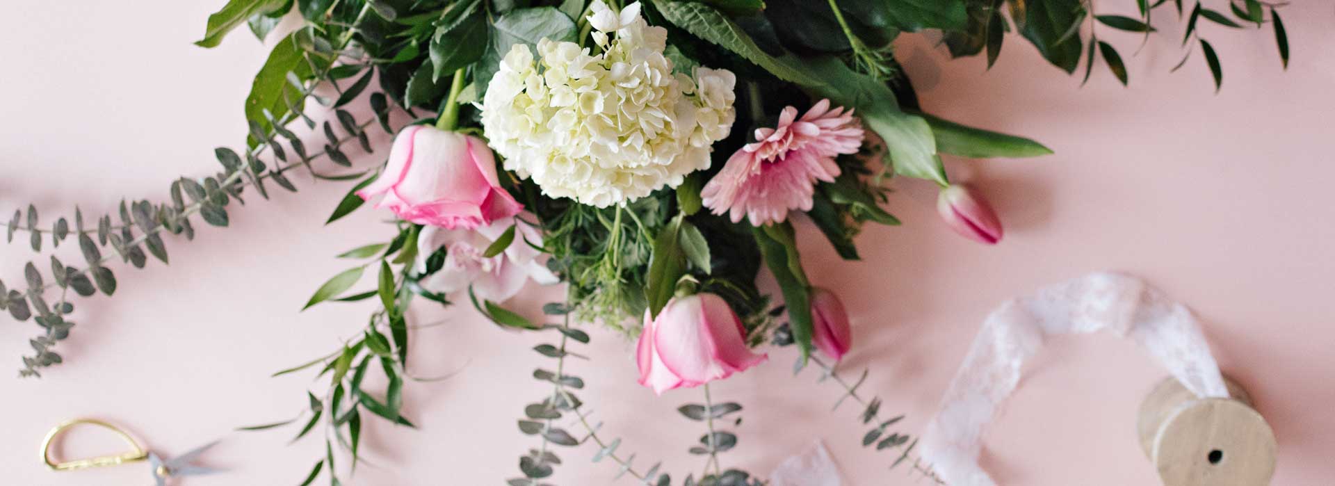fleurs hydrangee rose