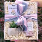 pivoine & feuille d'olivier