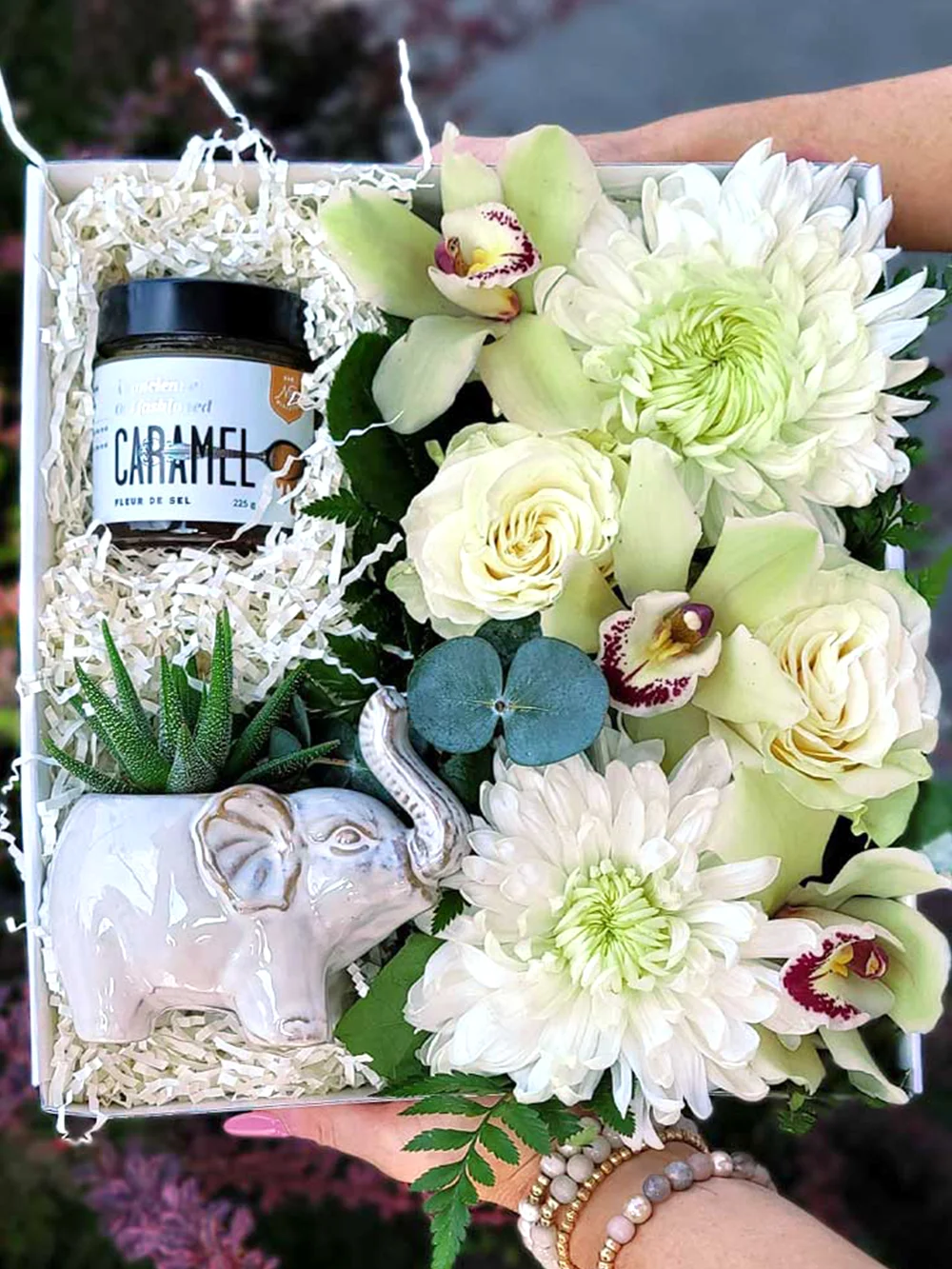 boite fleurs plante haworthia caramel