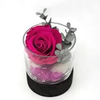 Rose éternelle fuchsia