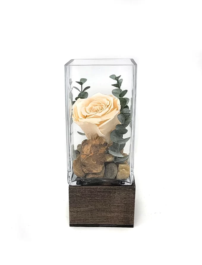 Arrangement rose éternelle ivoire