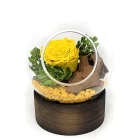 arrangement rose eternelle jaune