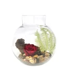 Arrangement rose éternelle rouge vin