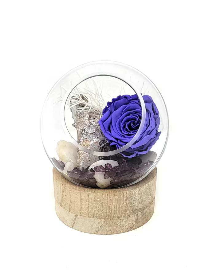 arrangement rose eternelle violette