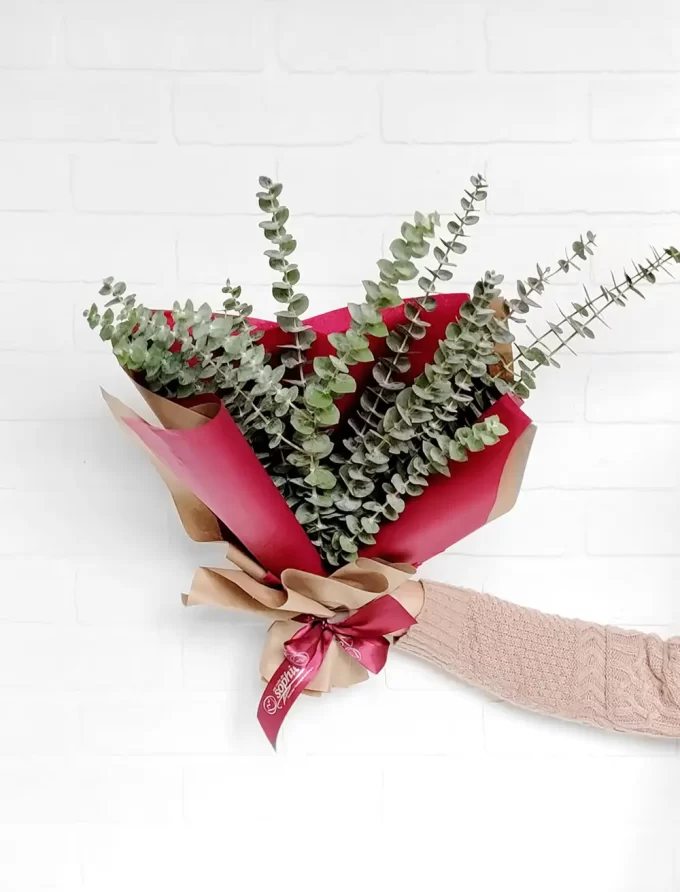 Bouquet d'eucalyptus frais - Fleuriste Au Coin de Sophie - Boisbriand & St-Eustache