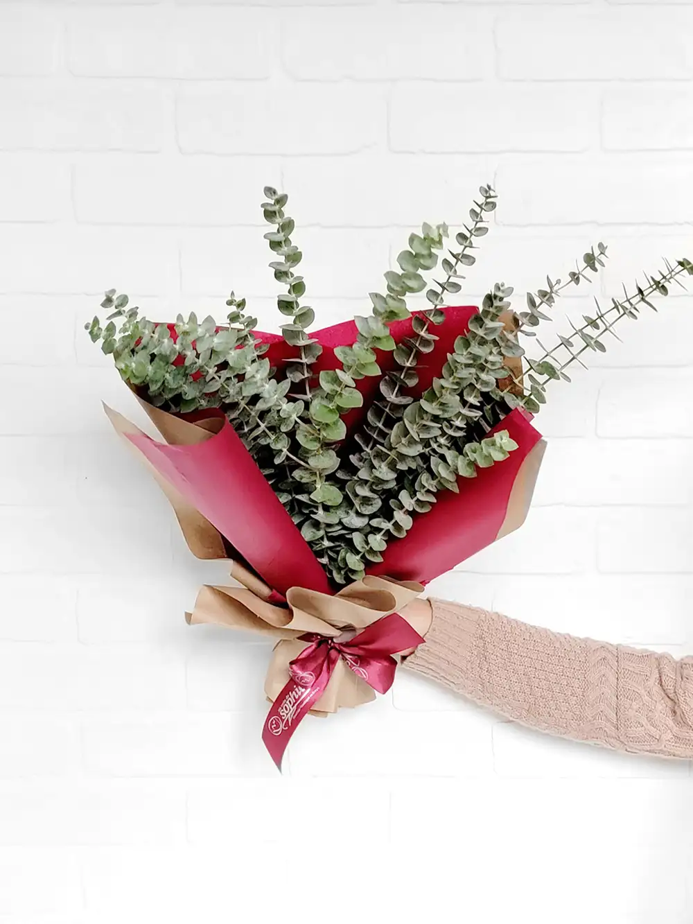 Bouquet d'eucalyptus frais - Fleuriste Au Coin de Sophie - Boisbriand & St-Eustache Bouquet d'eucalyptus frais - Fleuriste Au Coin de Sophie - Boisbriand & St-Eustache