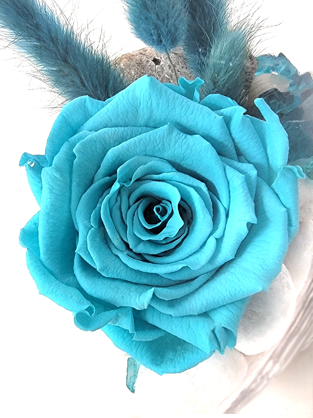 rose eternelle bleue
