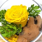 rose eternelle jaune