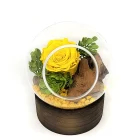 rose eternelle jaune arrangement