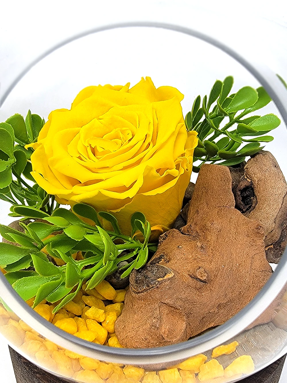 rose eternelle jaune