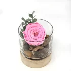 l'Éternelle séraphina