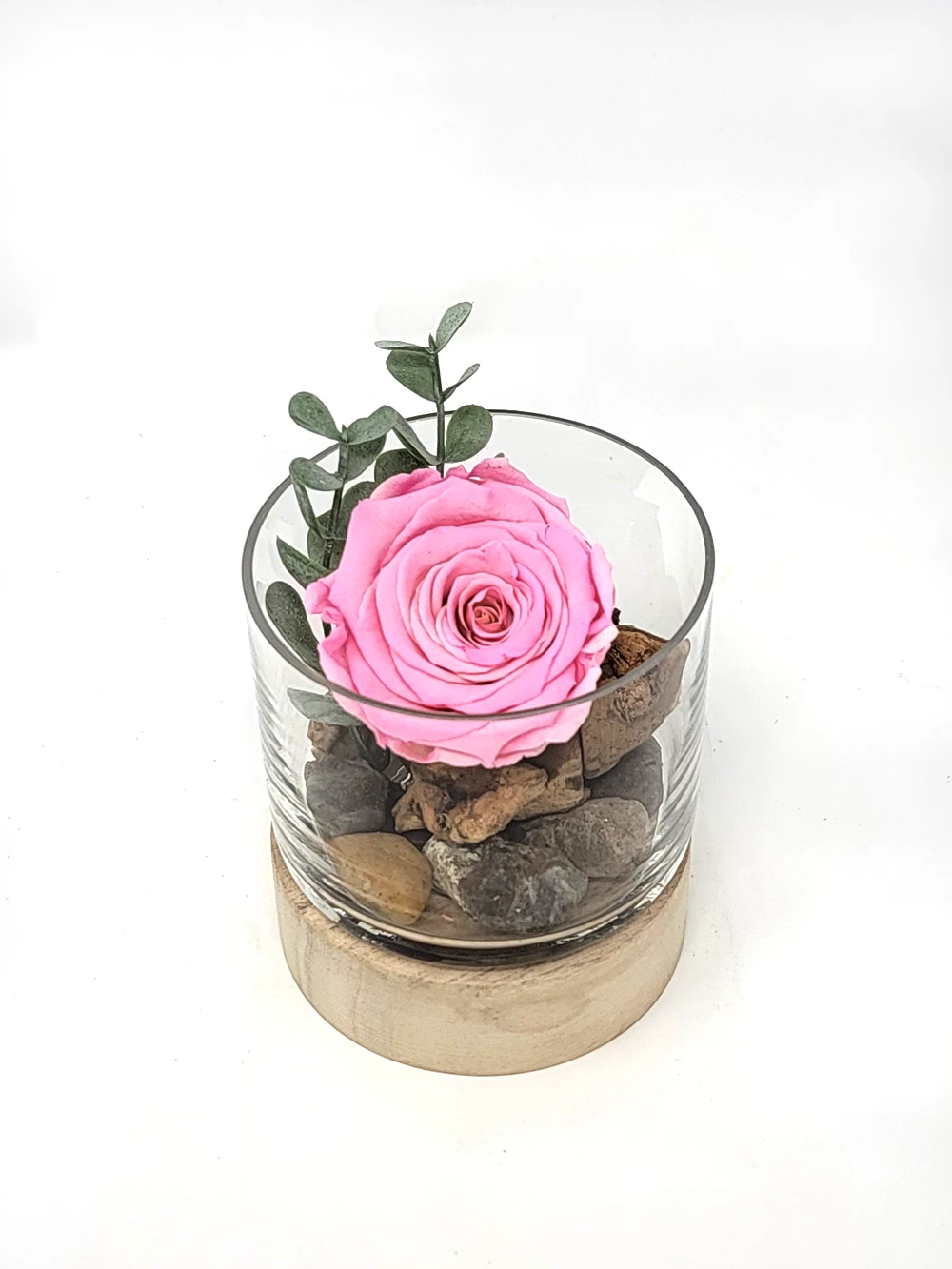 l'Éternelle séraphina