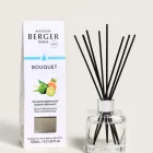diffuseur à roseaux · éclatante bergamote de maison berger