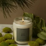 selv lueur boreal