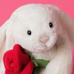 bb6rose 1 33274